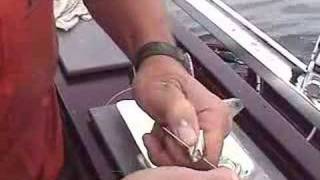 Bullet Rotator™ Quick release Salmon trolling Action