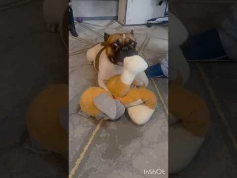 Wait for me! I’m coming to you! 😃#viral shorts, #funny,