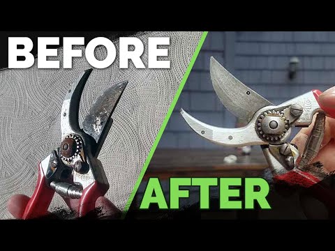 Pruning Shears Explained Choose the Best Pruners For Your Garden