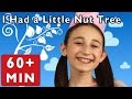 I Had A Little Nut Tree And More Nursery Rhymes From Mother Goose Club