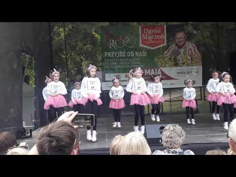 Występ na Pikniku różanym