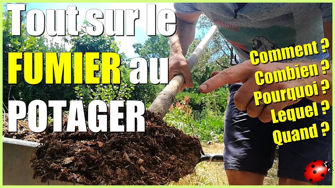 Le FUMIER au POTAGER - Tout savoir (ou presque !)