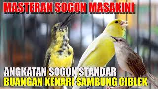 Download lagu MASTERAN SOGON MASAKINI||BUKAAN SOGON STANDAR BUANGAN KENARI SAMBUNG CIBLEK mp3 Download lagu MASTERAN SOGON MASAKINI||BUKAAN SOGON STANDAR BUANGAN KENARI SAMBUNG CIBLEK mp3