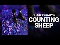 Shakey Graves // Counting Sheep