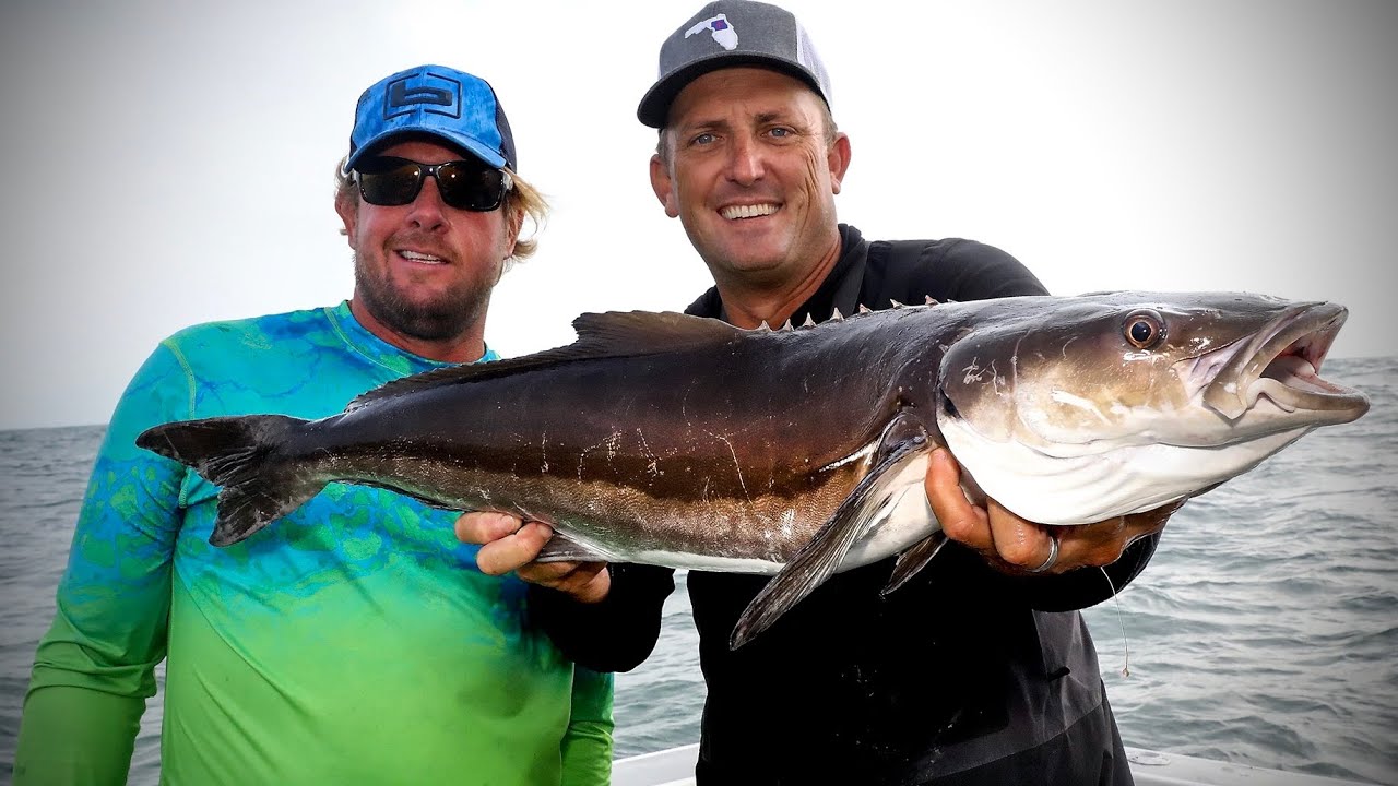 Cobia Fishing with Ultra light Spinners! Catch Clean Cook Insane Cobia Sushi ROLL!