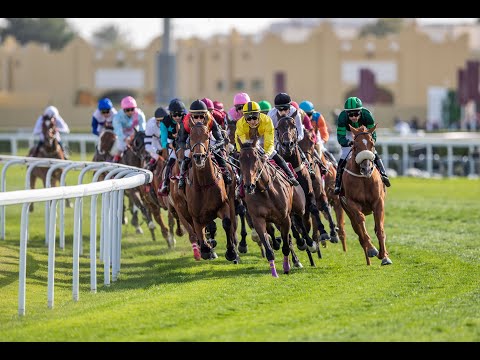 14th Al Uqda Race Meeting - Al Judhay Cup - Season 2023/2024