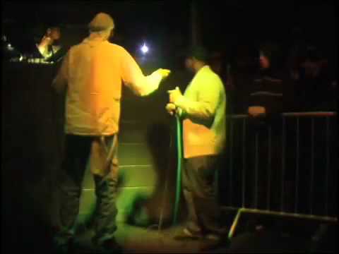 stormin n sharky major