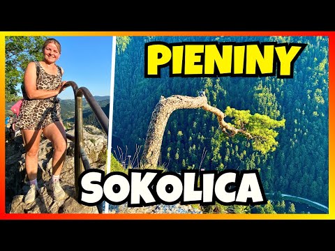 Sokolica 🏞️ Najpiękniejszy Punkt Widokowy w Pieninach? Parking Krościenko na Dunajcem