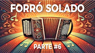 FORRÓ SOLADO - PARTE 6 | HOMENAGEM AOS MESTRES DO FORRÓ #forró #forródasantigas#solado