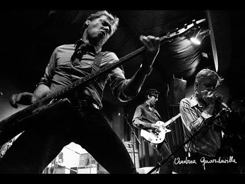 The Fleshtones - Live Italy 1987
