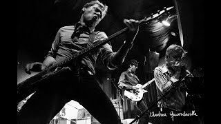The Fleshtones - Live Italy 1987
