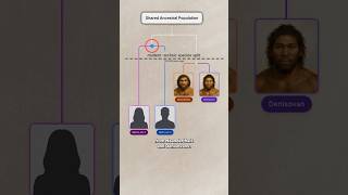 Thumbnail for Parts of Your DNA Are More Neanderthal Than Human - David Reich