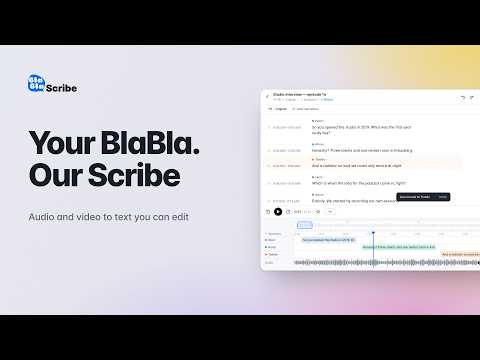 BlaBlaScribe video preview