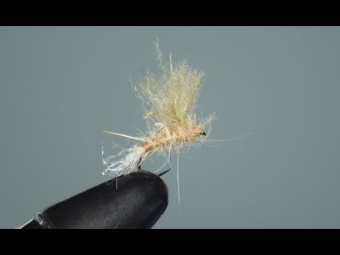 Montaje de emergente caroche