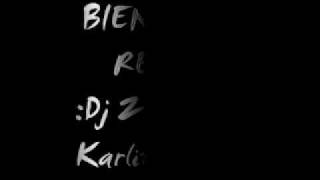 Bien Duro Remix- Dj ZuX Ft Dj Karlitos Mix (MIXEOS 2010).wmv