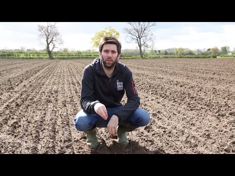 British Quinoa - May 2016