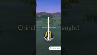 ✨✨✨Shiny Chinchou in wild #pokemongo #shinypokemon #chinchou #johto #electricfish #wildpokemon #gen2