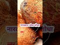 नारळात तीन देव शोधा Swamisamarthmantra Swamisamarth श्रीस�