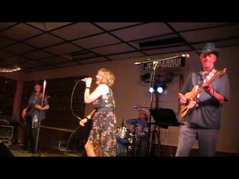 Promotional video thumbnail 1 for The Honky-Tonk Stardust Cowboys