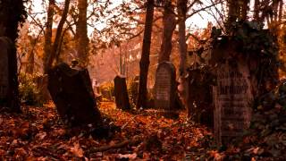 Graveyard Blues -Roy Buchanan