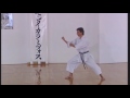 Shotokan Heian Godan