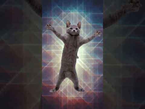 what?😂🤣 #Short#