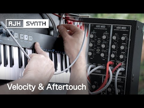 Velocity & Aftertouch - How to control VCA/LFO/VCF with the MiniMod Eurorack Modular Synth