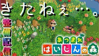【🔴町作り】時飛ばししすぎて荒れ放題の島を整備する【あつ森】