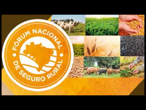 Fórum Nacional de Seguro Rural - Norberto Ortigara