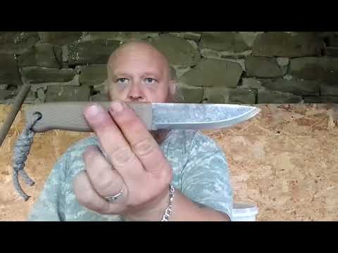 Mein erster Eindruck zum Condor Terrasaur