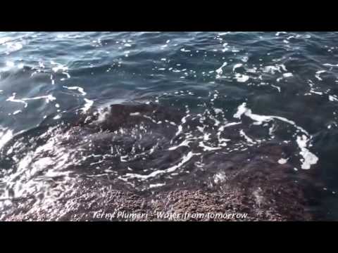 J. T. Plumeri: Water from tomorrow. P. Carlini, basson; F. Datteri, piano