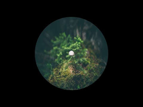 Enivrèz Vous - Ljus