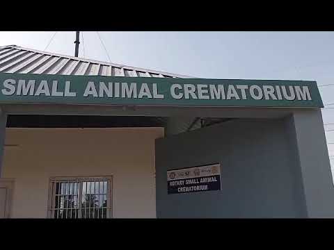 Today morning my beloved dog passed away 😞🥺😢. This is the place where we going to burn .Miss you 🥺😞😢