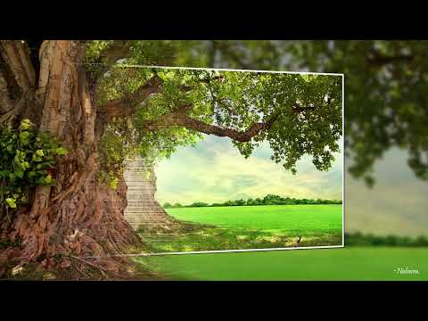 Gasaka Mahima Bala By W.D. Amaradeva & Neela Wickramasinghe