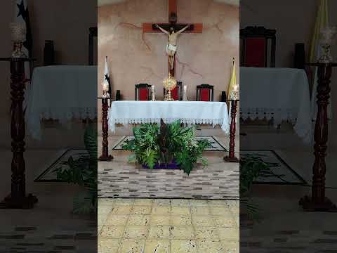 Cantemos al amor de los amores...