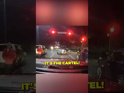 Brave Dad vs Mexican Cartel