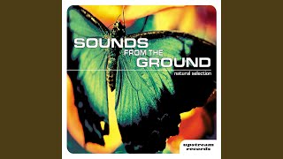 Music video thumbnail preview for Whispers by Sounds From the Ground