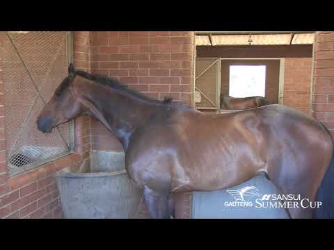 GEOFF WOODRUFF   MASTER SWITCH