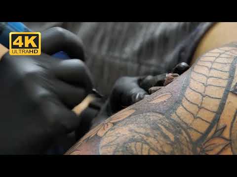 TATTOO 4K Stock Videos - No Copyrights ! FREE STOCK FOOTAGE ! like a snake tattoo