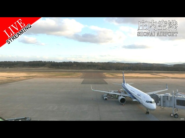 庄内空港