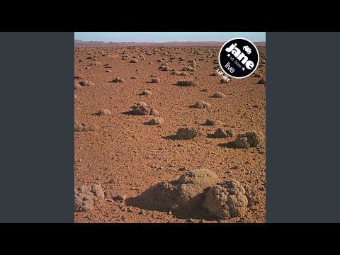 Daytime (Live (1976 / Niedersachsenhalle, Hannover))