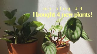 vlog/04 🍉 slow home life; taking care of plants !