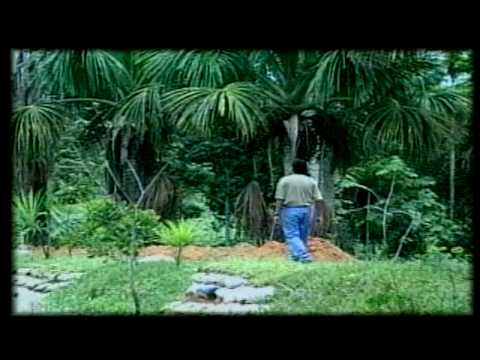 ARMONIA 10 - Jurare no amarte mas