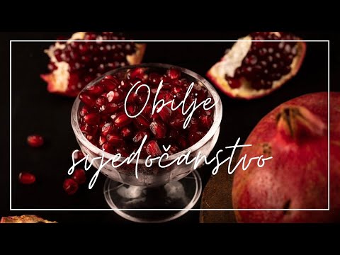 Andrea Gelemanović - Božje obilje u našim životima