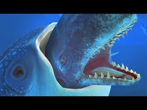 GIANT WHALE SHARK EATS A GIANT WHALE - Feed and Grow Fish - Part 88 | Pungence