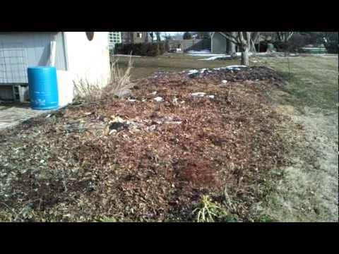 TOG - Episode 1 - "My Garden in March"