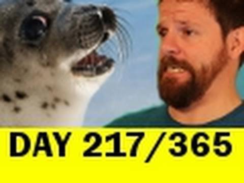 217/365 Sam Cornwell sees a real life seal! Dunbar, Scotland.