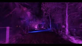 The Cure - This Twilight Garden