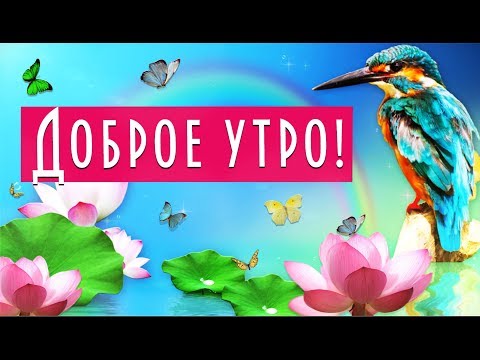 🌞С Добрым утром!🌞С новым чудесным днем!🌞