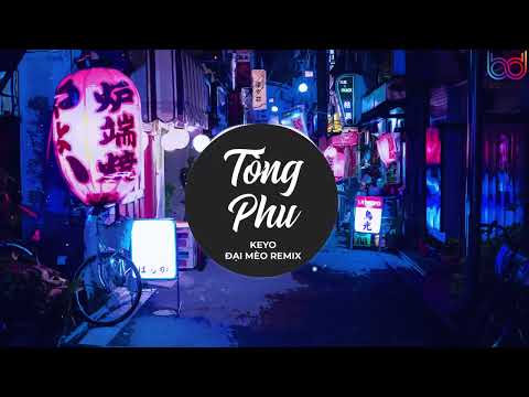 Tòng Phu Remix - Keyo x Đại Mèo Remix | vì quá ngu si hay vi em đã yêu vội vàng remix hot tiltok